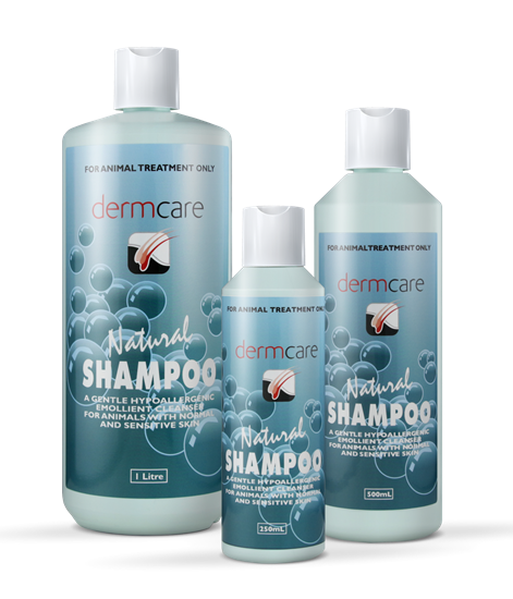 Dermcare – Natural Shampoo