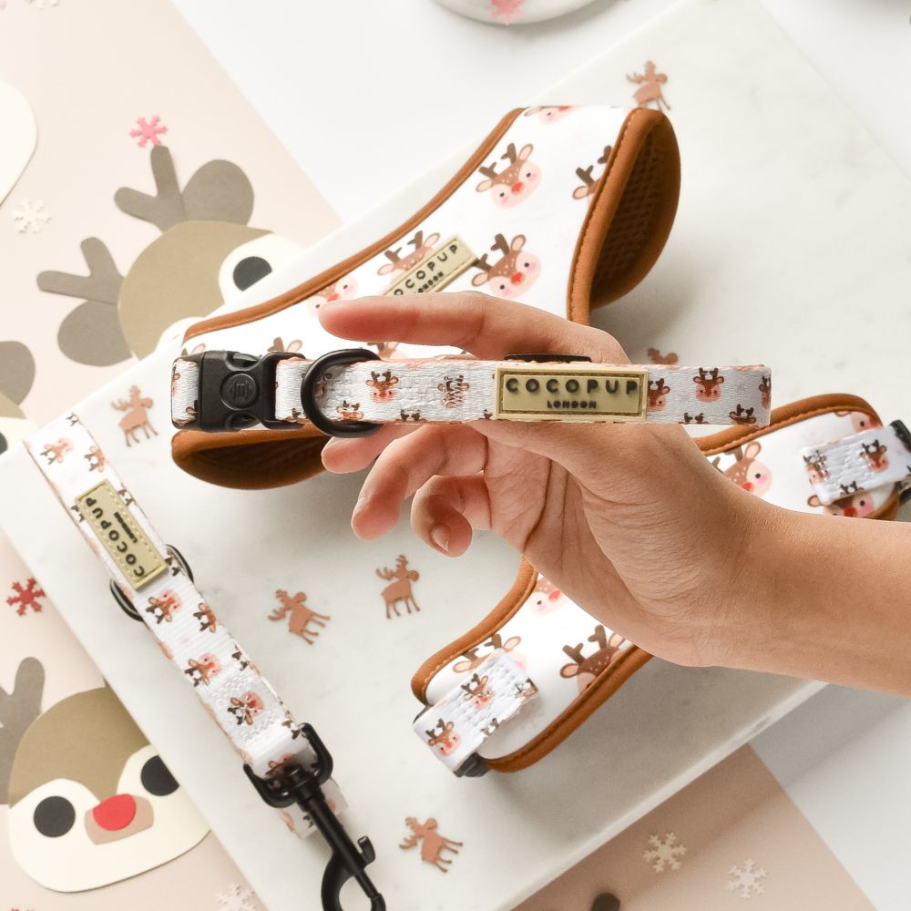 Cocopup London – Dog Collar – Ralphie Reindeer