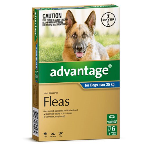 Advantage – Fleas – Dogs over 25kg