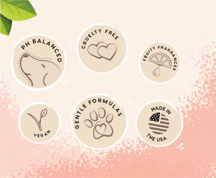 Pet Head – Quick Fix