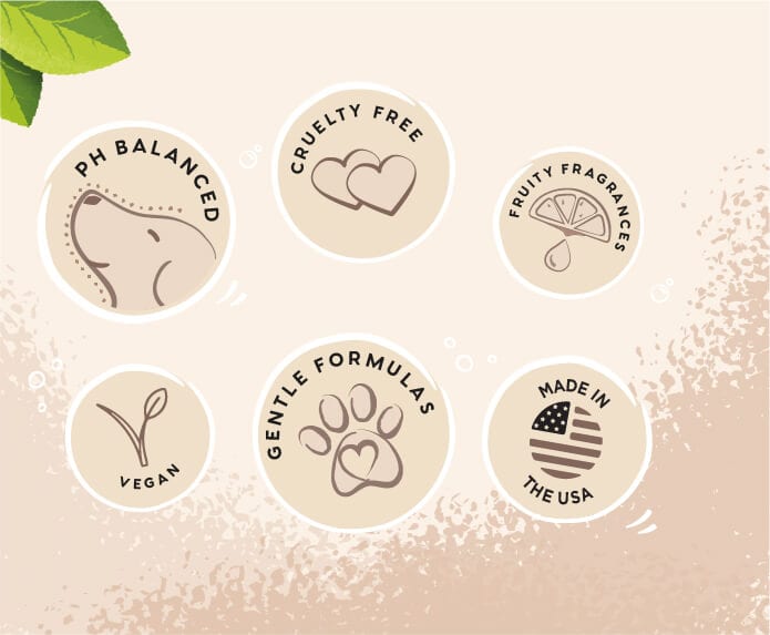 Pet Head – Sensitive Soul