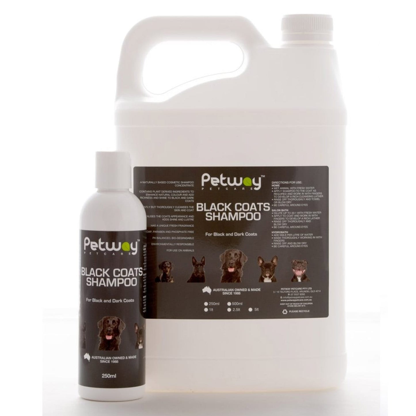 Black Coats Shampoo