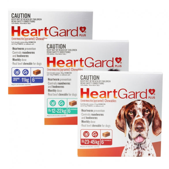 HeartGard Plus – SPECIAL ORDER