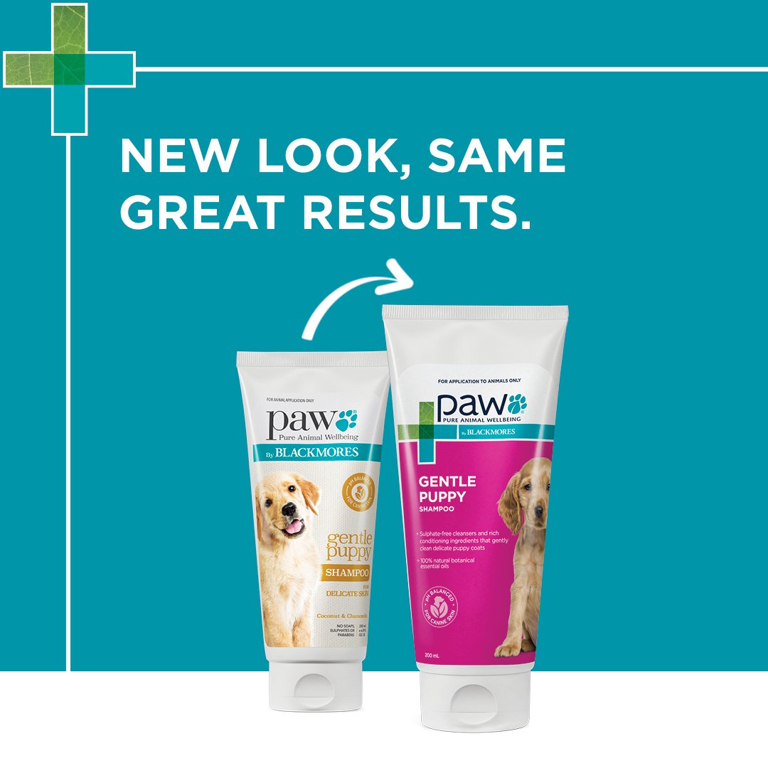 Blackmores: Paw – Puppy – Gentle Shampoo