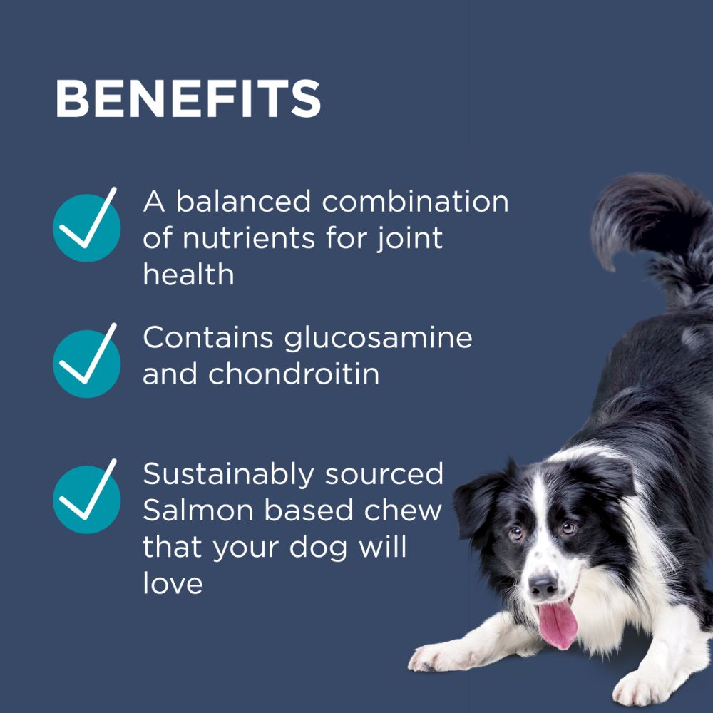 Blackmores: Paw – OsteoCare Joint Protect
