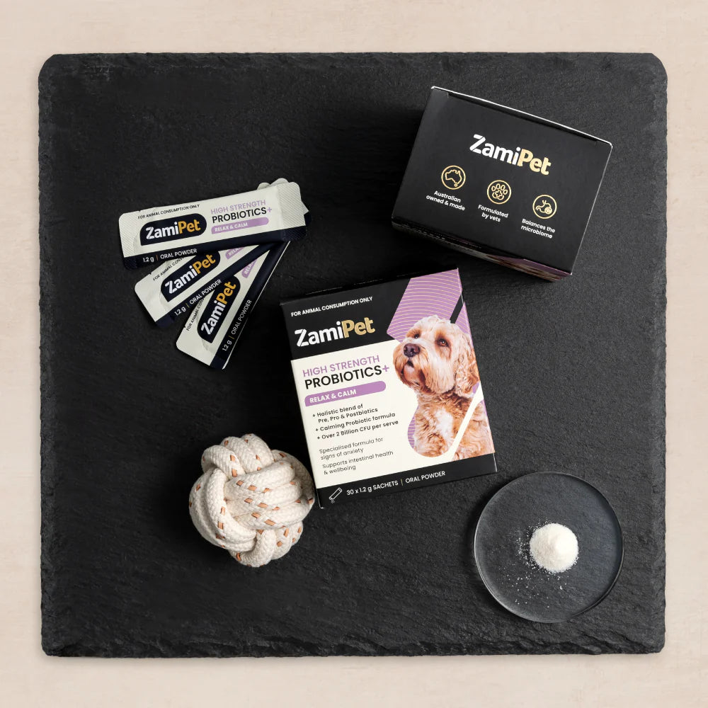 ZamiPet – High Strength Probiotics+