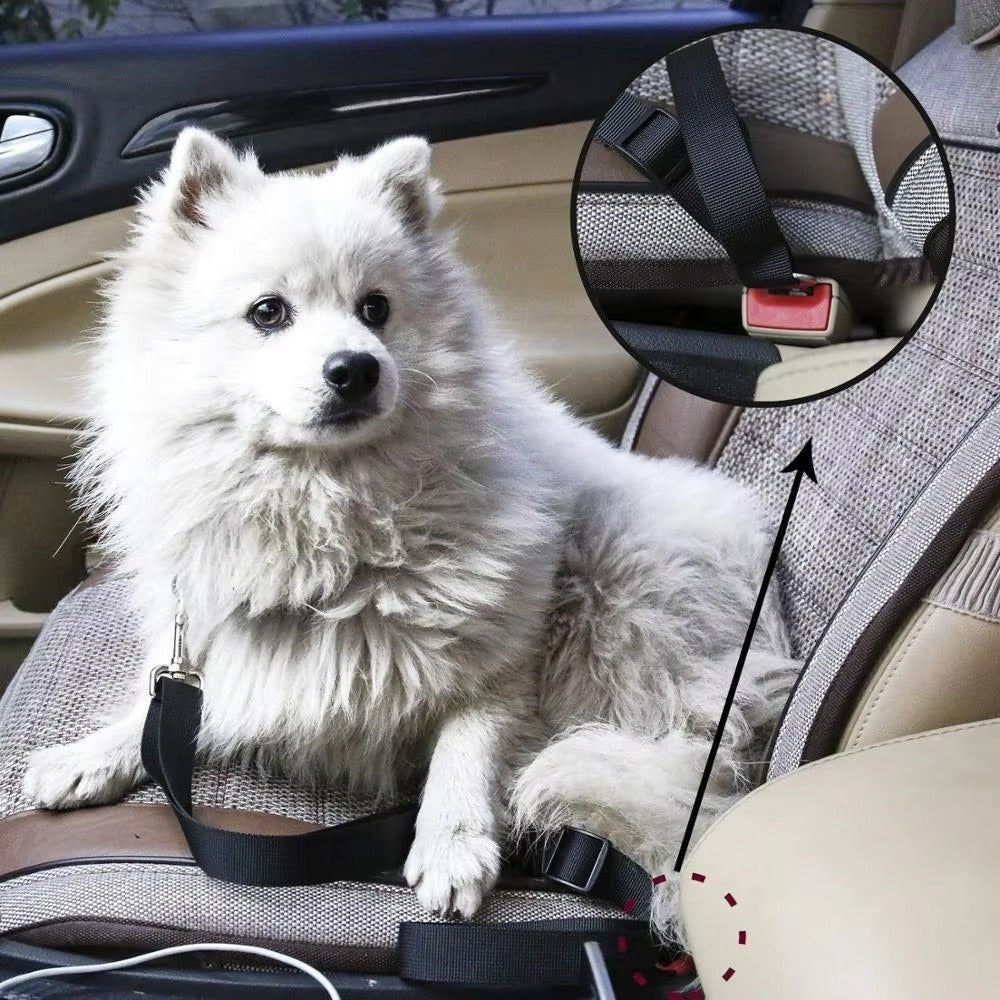 Car Seat-Belt Tether for Dogs