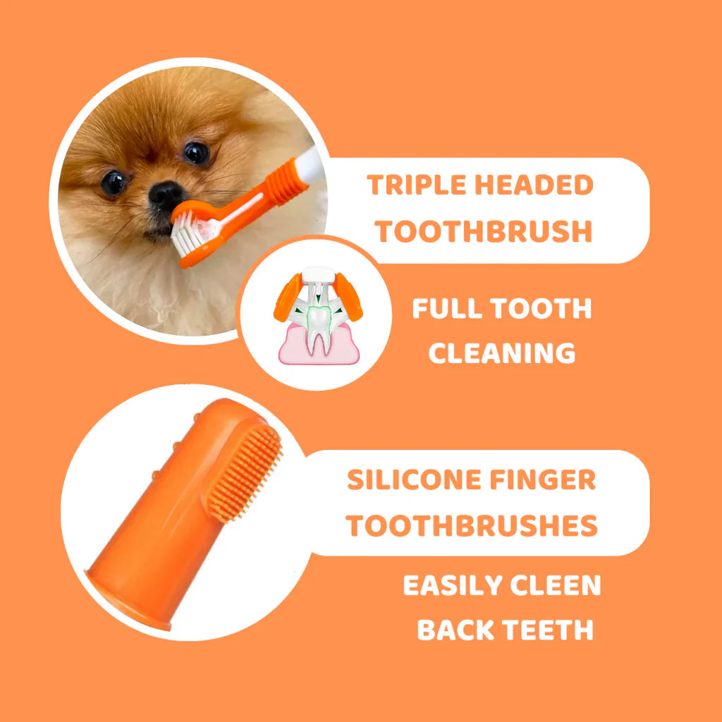 Dogslife – Dental Care Kit