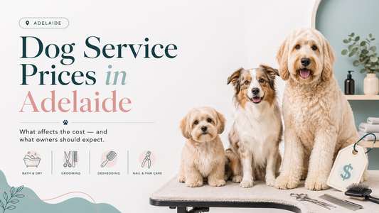 dog grooming price guide in adelaide