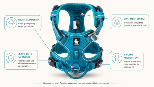 DogLove Pro No Pull dog harness features: front clip, soft mesh lining, heavy duty hardware and four point adjustment