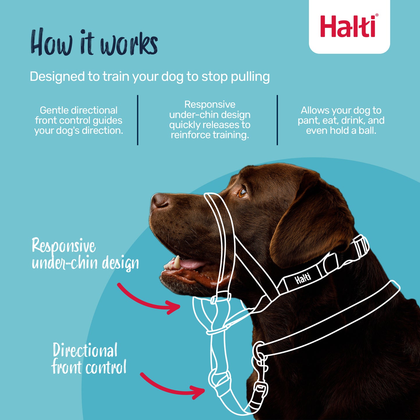 Company of Animals – Halti – Headcollar
