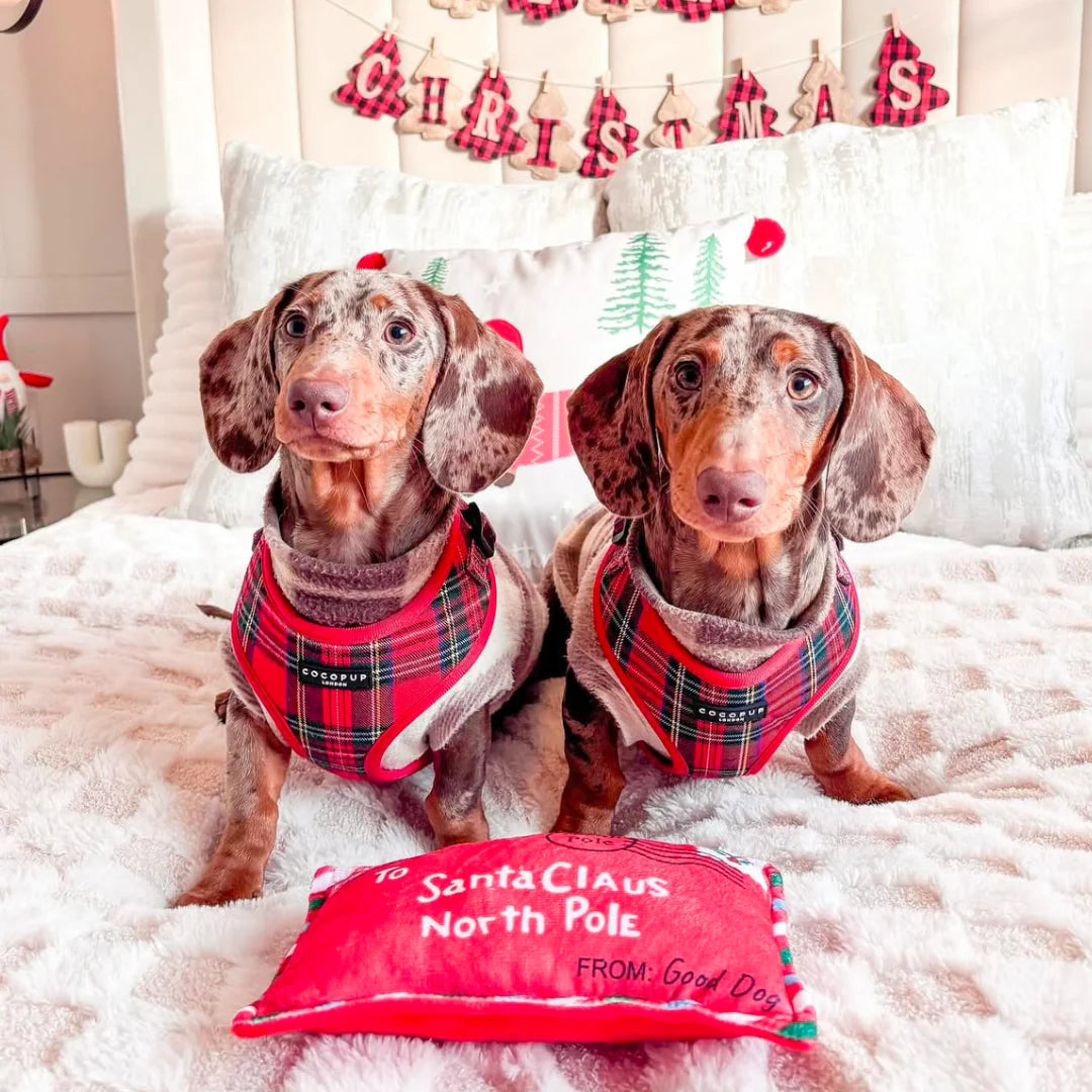 Cocopup London – Adjustable Neck Harness – Tartan