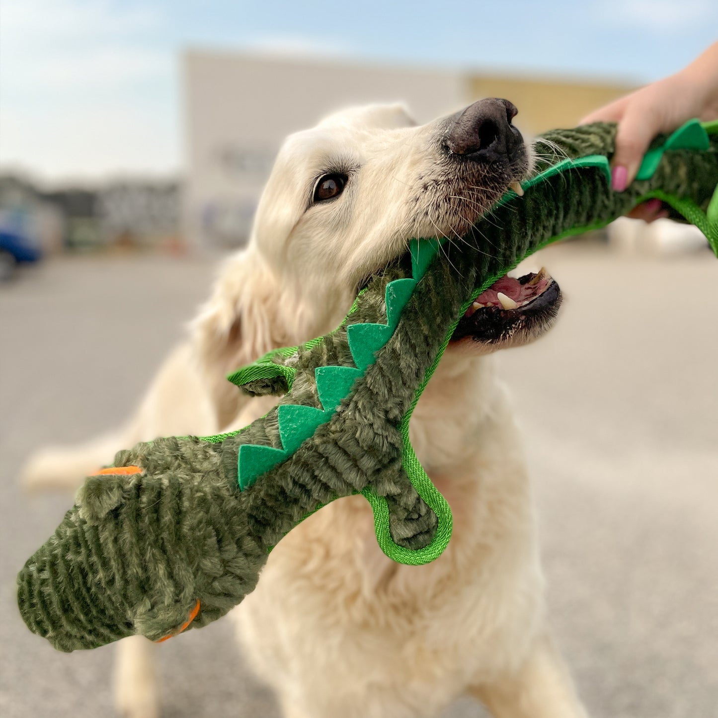 RUFF Play – Plush Buddies – Tuff Crocodile