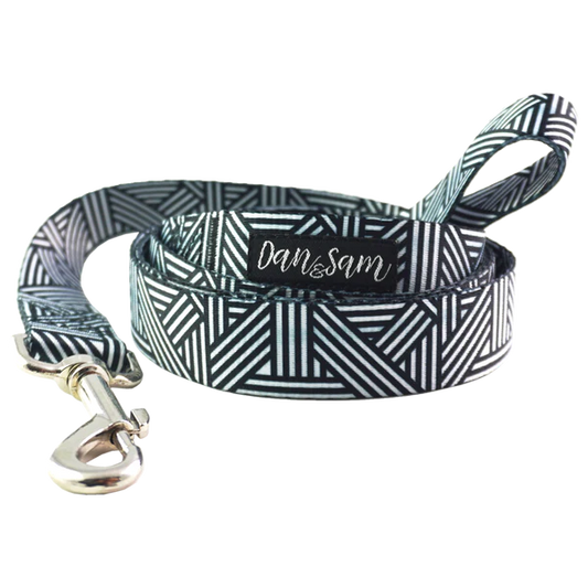 Dan & Sam – Dog Lead – Abstract