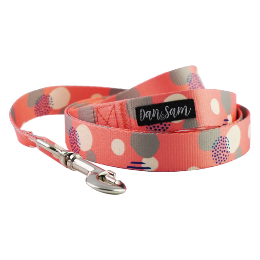 Dan & Sam – Dog Lead – Fabulous