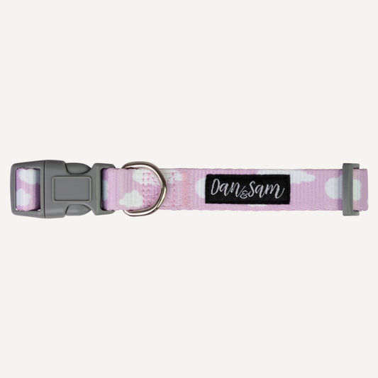 Dan & Sam – Dog Collar – Dreamer