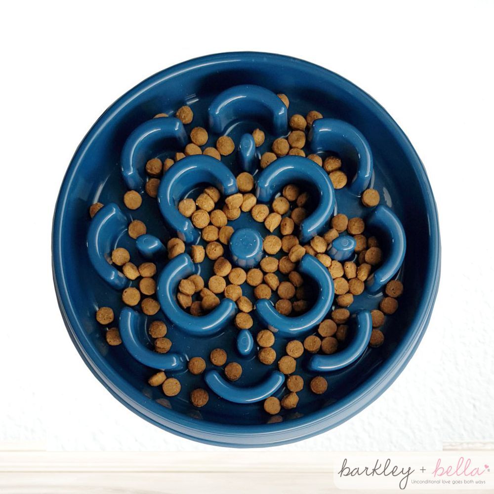 Barkley & Bella – Slow Chow Feeder