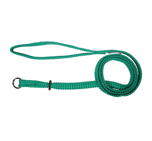 Beau Pets – Nylon – Single Nylon – Choker Lead – Green
