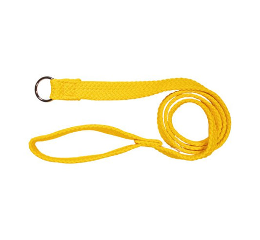 Beau Pets – Double Nylon – Choker Lead – Gold