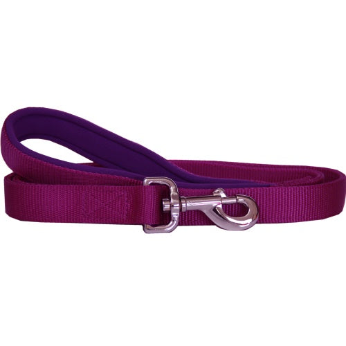 Beau Pets – Neoprene Handle – Nylon Lead – Purple