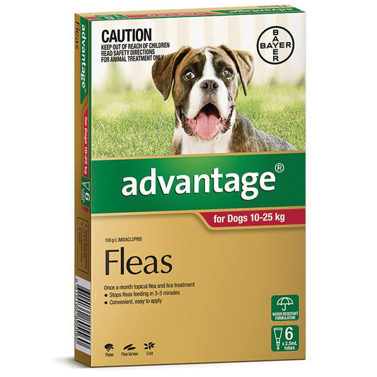Advantage – Fleas – Dogs 10kg to 25kg