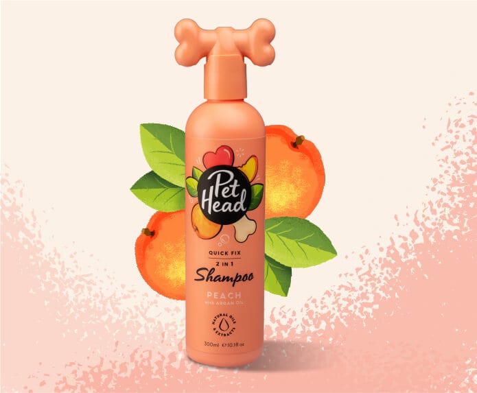 Pet Head – Quick Fix