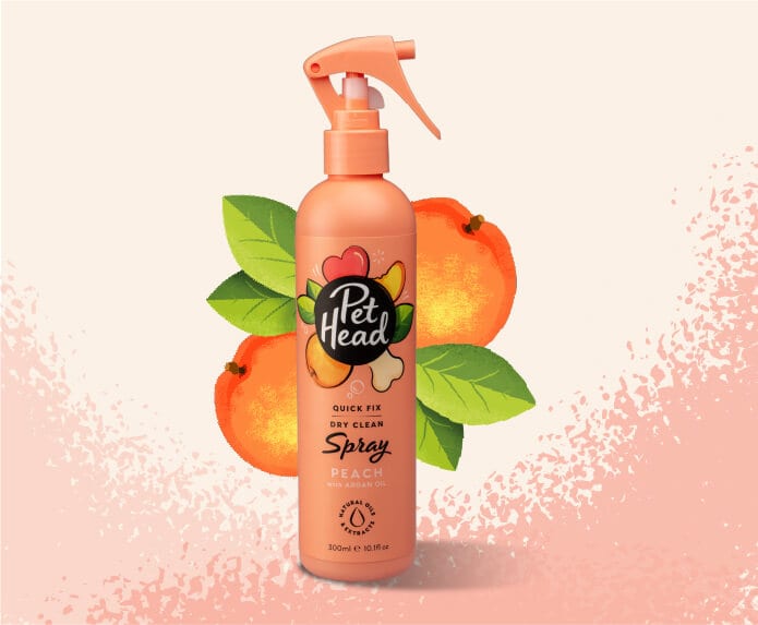 Pet Head – Quick Fix