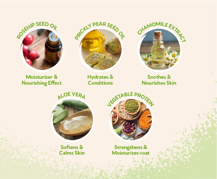 Pet Head – Mucky Pup