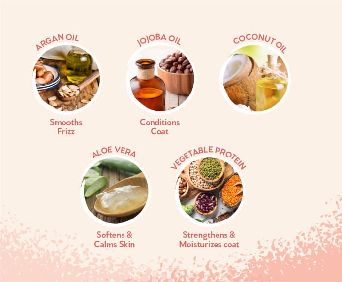 Pet Head – Quick Fix