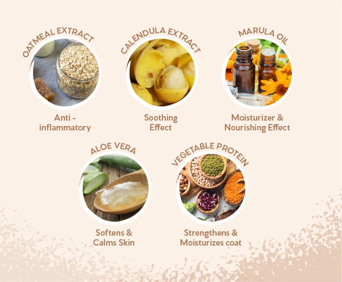 Pet Head – Sensitive Soul