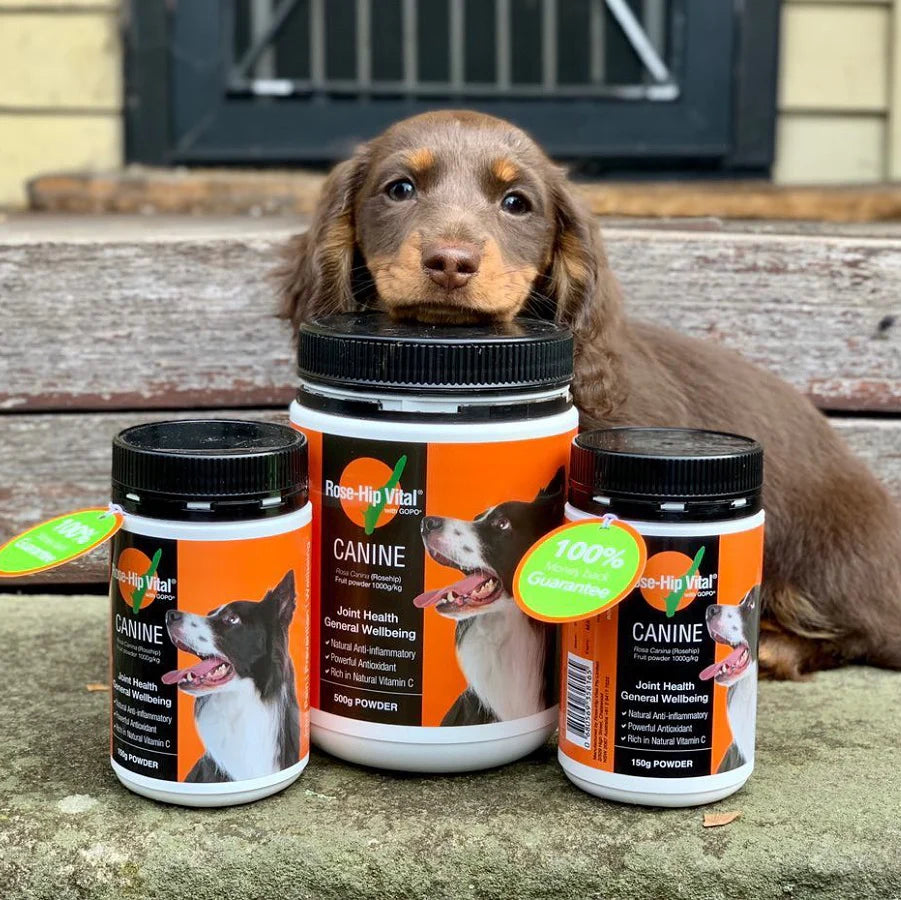 Rose-Hip Vital – Canine