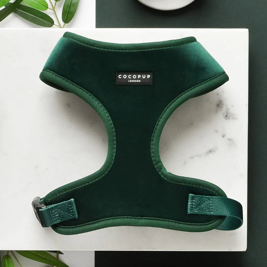 Cocopup London – LUXE Adjustable Neck Harness – Forest Green Velvet
