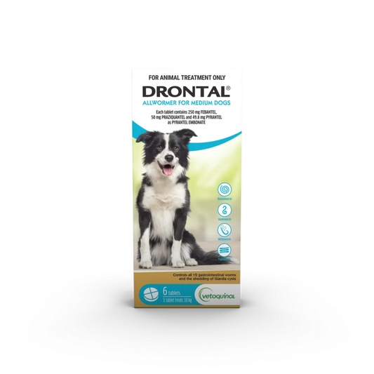 Drontal – Allwormer