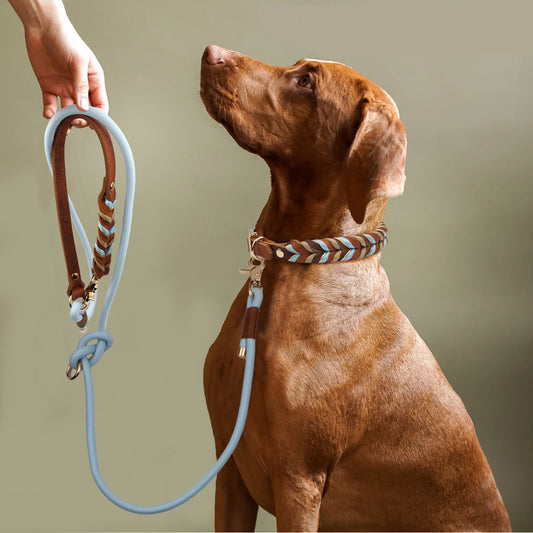 The Heritage Set — Hand-Braided Leather Collar & Lead