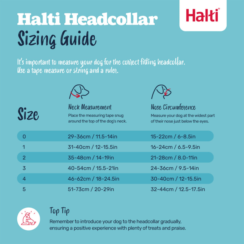 Company of Animals – Halti – Headcollar
