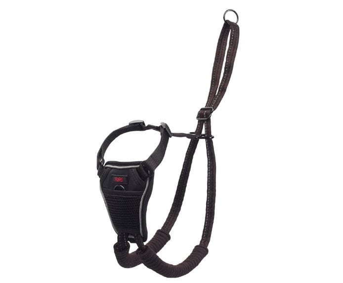 Company of Animals – Halti – No Pull Harness