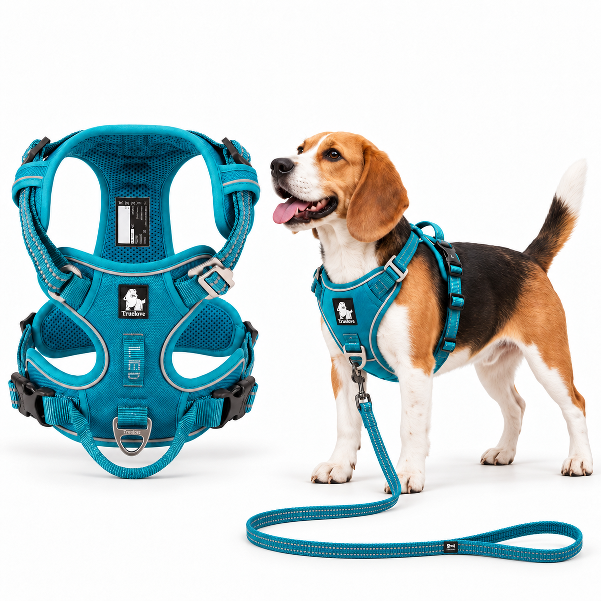 A Beagle wearing the Teal DogLove Pro No Pull Harness with the matching Teal lead, next to the Teal harness on its own