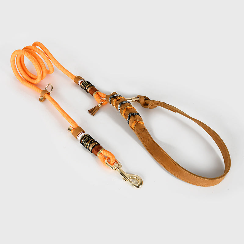 The Heritage Set — Hand-Braided Leather Collar & Lead