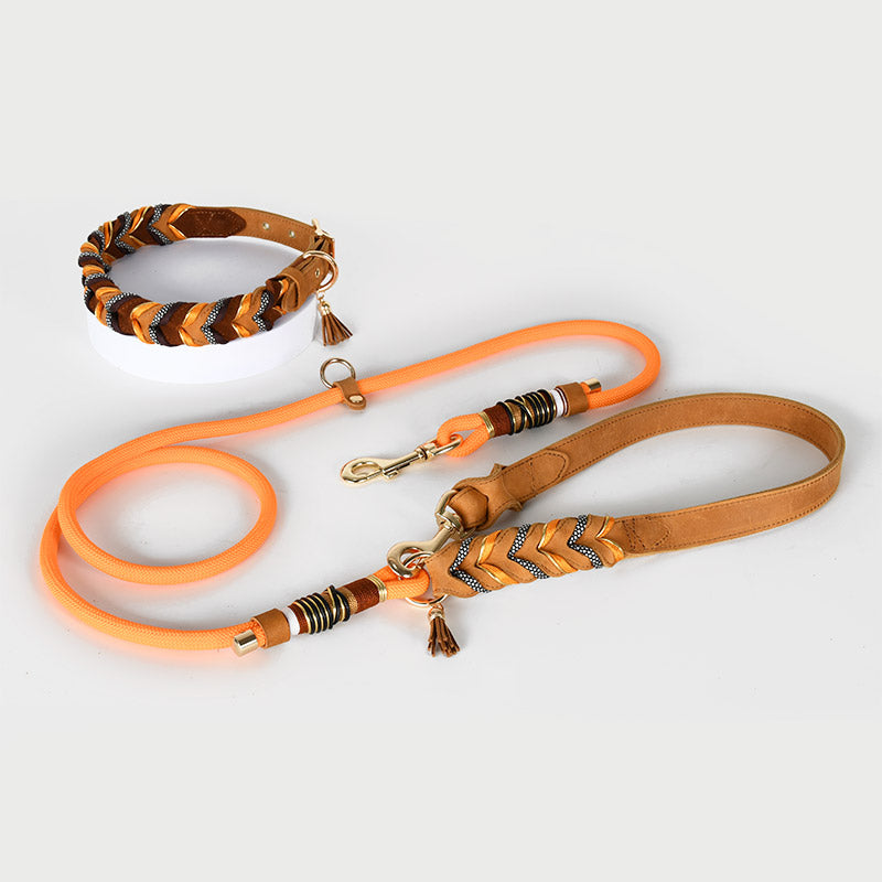 The Heritage Set — Hand-Braided Leather Collar & Lead