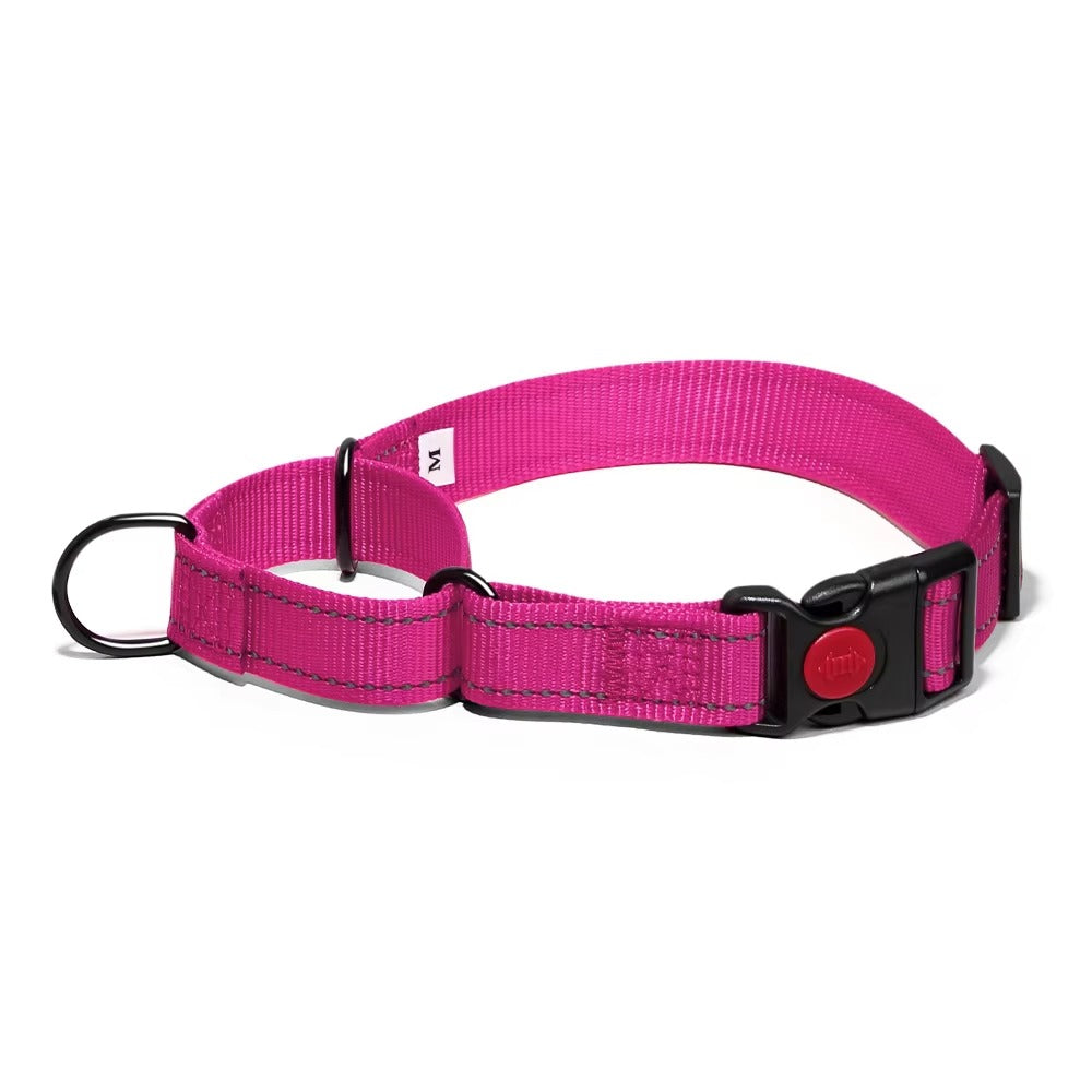 Martingale Lockable Dog Collar, No Escape Loop with Reflective Stitching