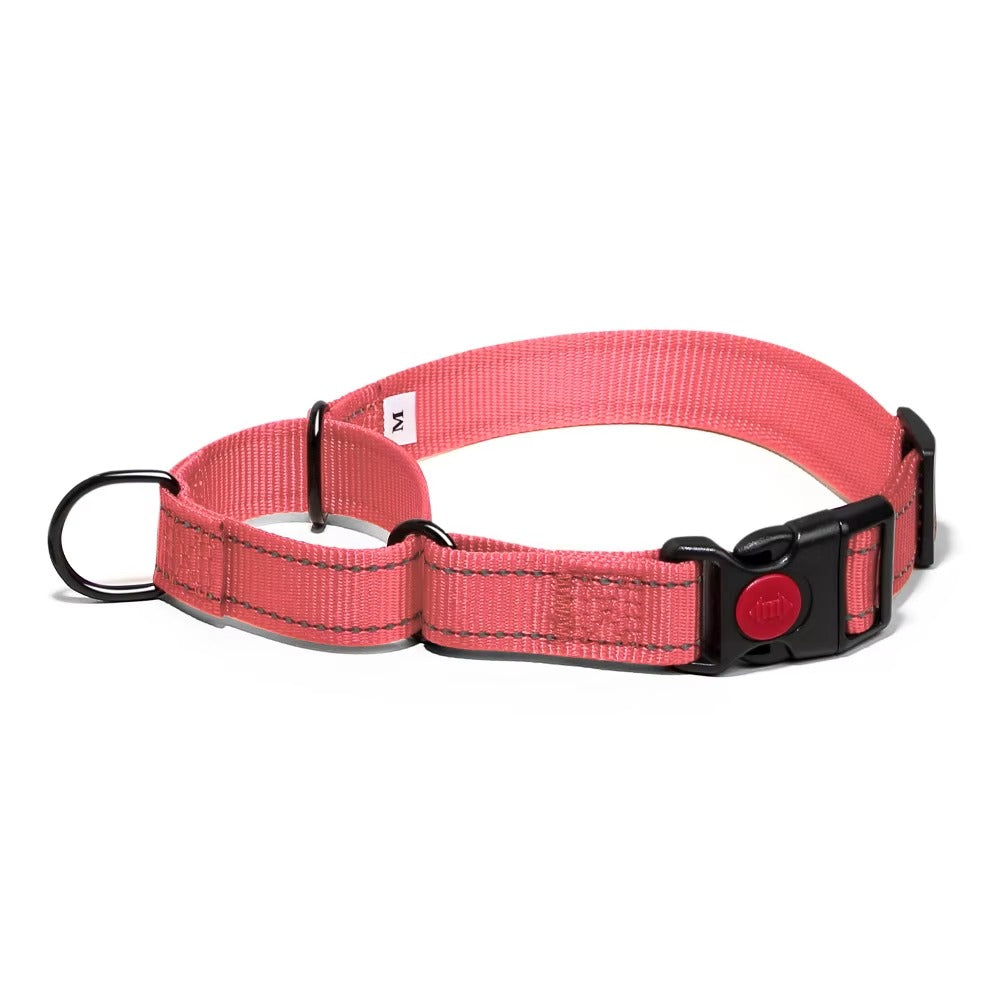 Martingale Lockable Dog Collar, No Escape Loop with Reflective Stitching