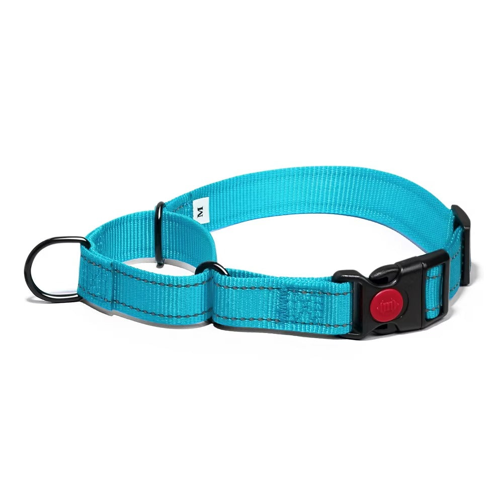 Martingale Lockable Dog Collar, No Escape Loop with Reflective Stitching