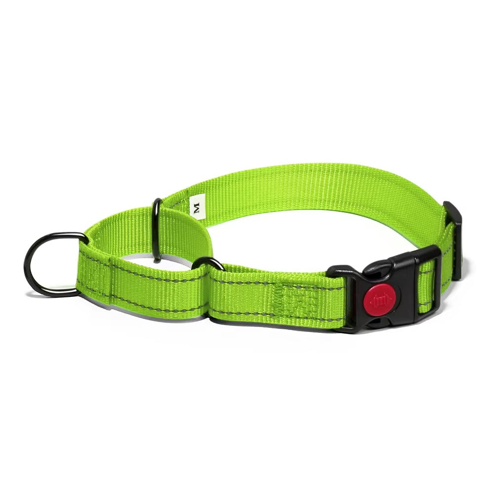 Martingale Lockable Dog Collar, No Escape Loop with Reflective Stitching
