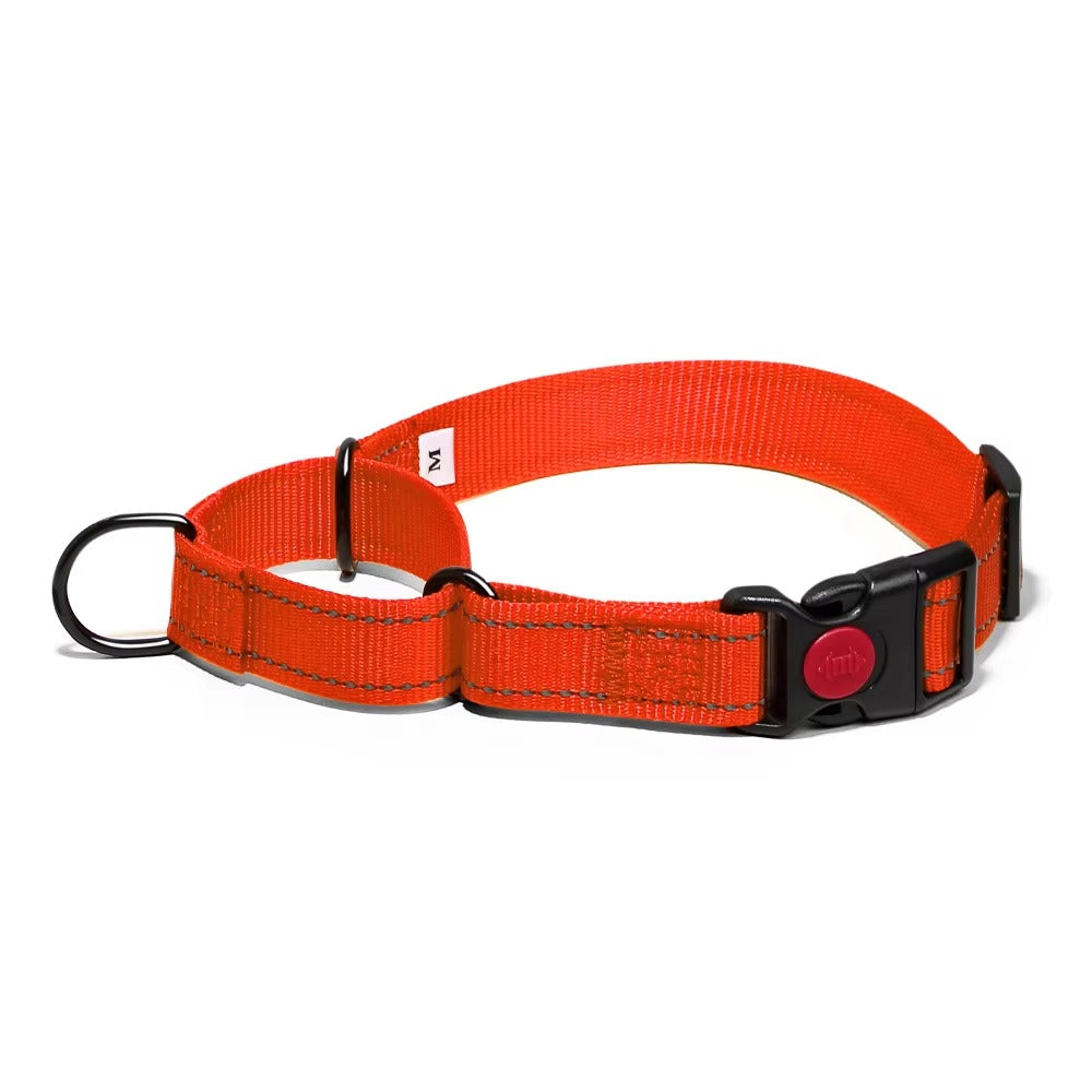 Martingale Lockable Dog Collar, No Escape Loop with Reflective Stitching