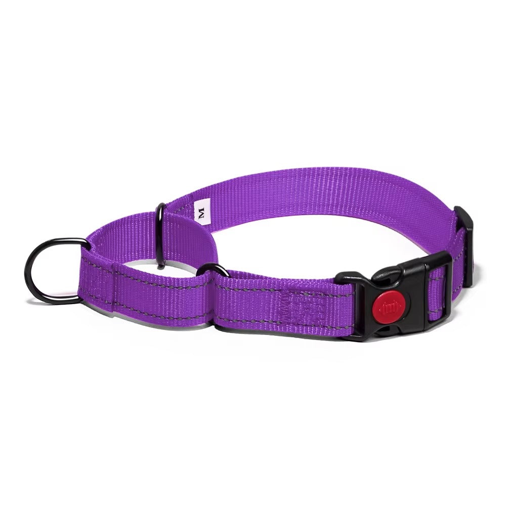 Martingale Lockable Dog Collar, No Escape Loop with Reflective Stitching