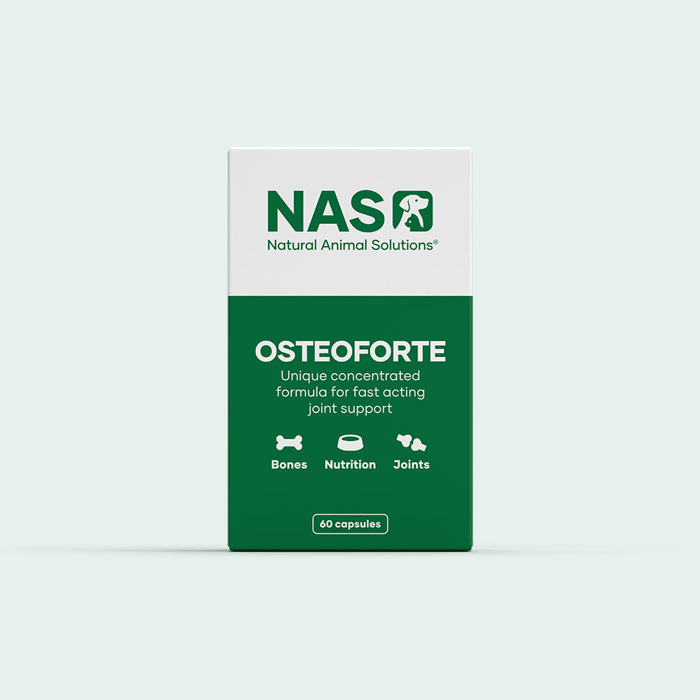 Natural Animal Solutions – OsteoForte