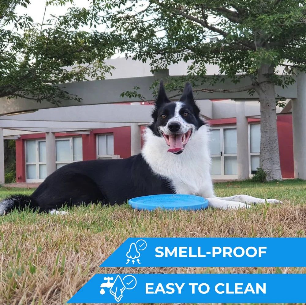 PitchDog – Flying Disk