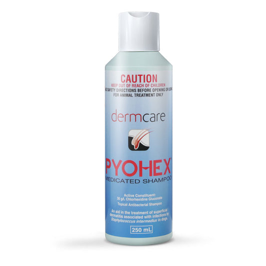 Dermcare – Pyohex Medicated Shampoo