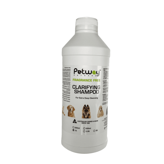 Fragrance Free Clarifying Shampoo