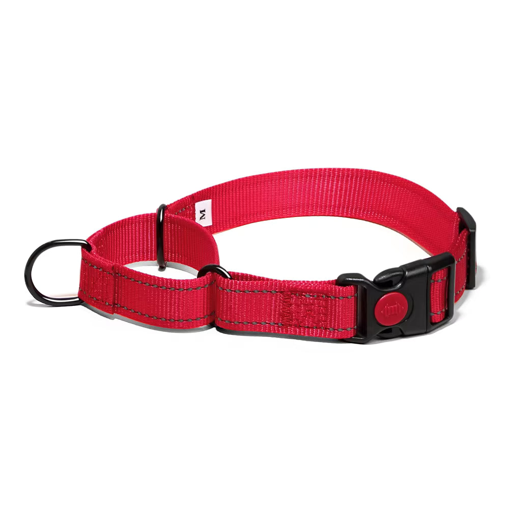 Martingale Lockable Dog Collar, No Escape Loop with Reflective Stitching